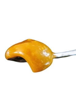 Lucky Elk Shatter